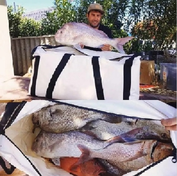 Fornærmet Fish køletaske